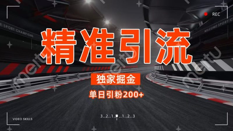 独家野路子精准引流 每日200+！-星链科技社-全网AI获客工具聚合与项目资源支持平台