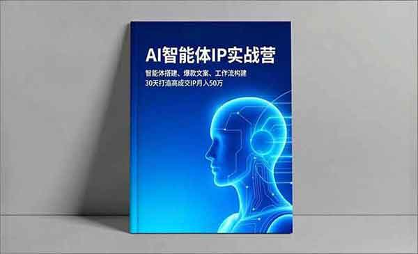 AI智能体IP实战营-星链科技社-全网AI产品推广返佣与创业资源支持平台