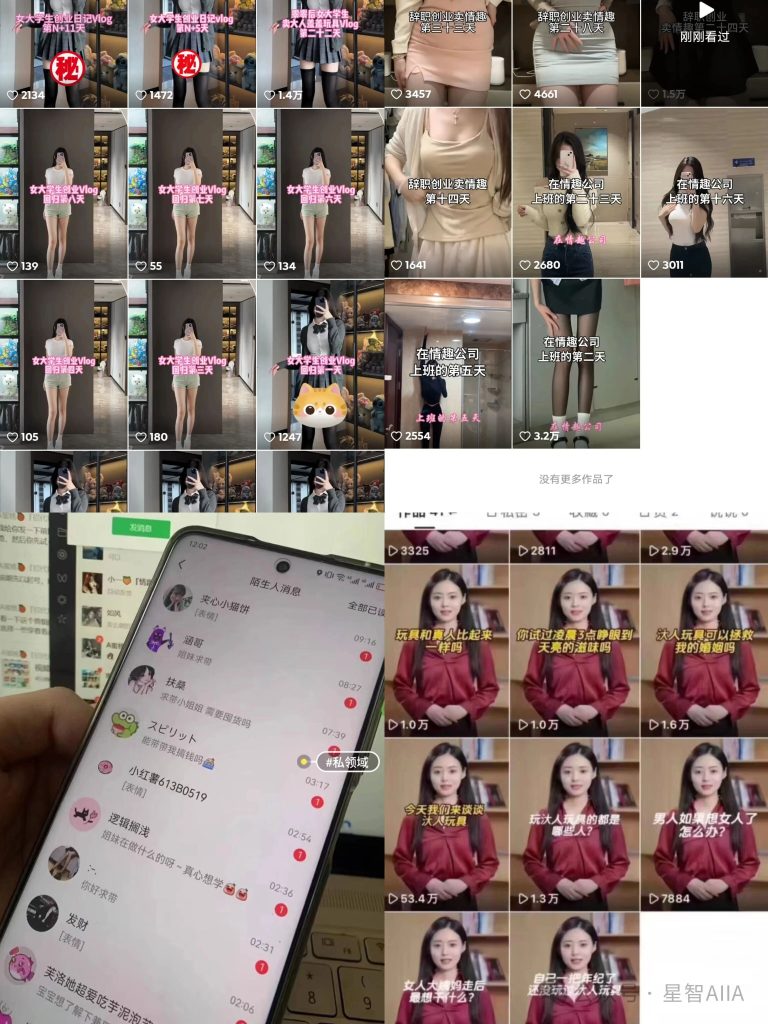 图片[10]-【星创计划第二期】2026年AI成人用品赛道项目正式启航！在微信卖成人用品，高利润高复购高转化，一件代发，月入上万！手把手真实教学，真实案例分享！-星智AI联盟-AI变现实战平台