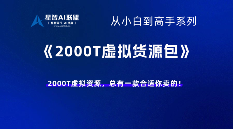 【虚拟货源】2000T虚拟资源合集，总有一款合适你卖的！-星智AI联盟-AI变现实战平台