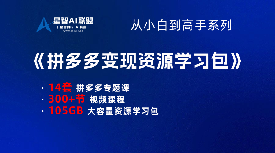 【小白到高手系列】拼多多变现资源学习包-星智AI联盟-AI变现实战平台